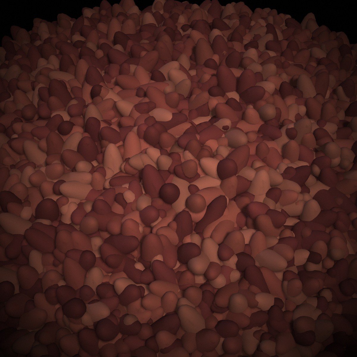 A heap of unpolished Himalayan red rice, deep russet in colour.