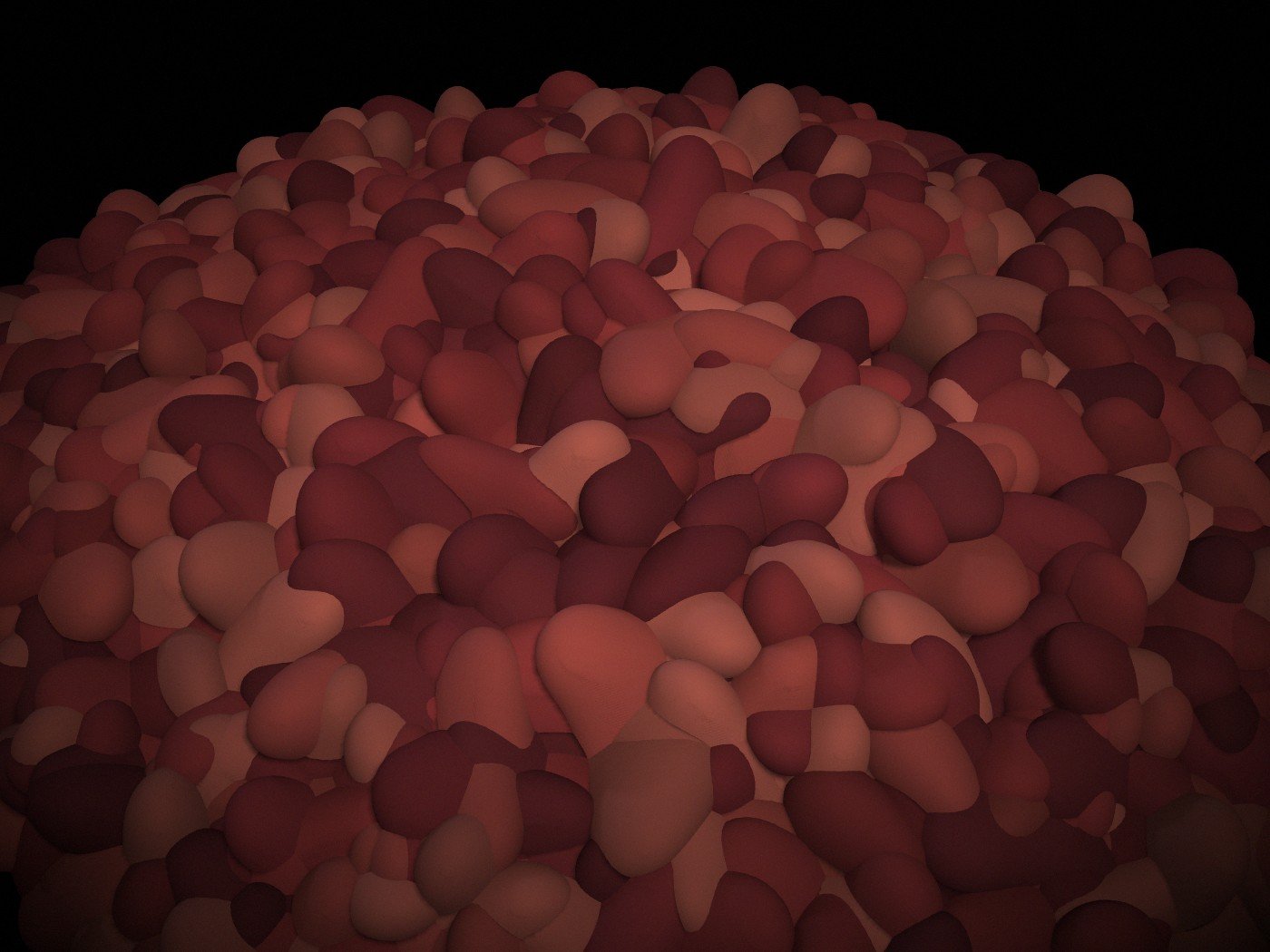Plump dark maroon Bharmour rajma beans in a warm-lit heap.